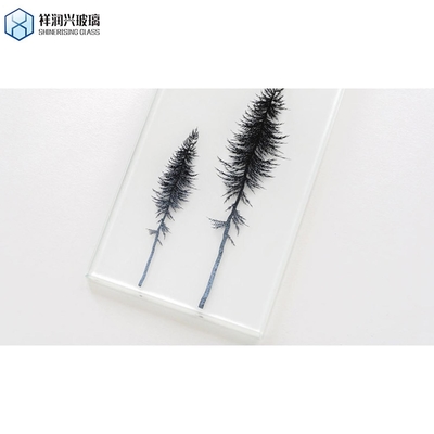 Paneles de pared de vidrio de construcción borde pulido plano 3-30mm vidrio laminado de seguridad transparente
